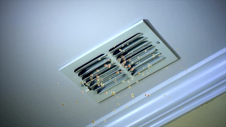 Best Best Air Duct Cleaning Near Me  in Pine Valley, CA