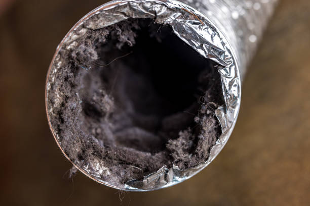 Best HVAC System Cleaning  in Pine Valley, CA