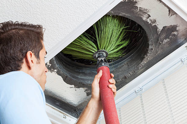 Best Affordable Duct Cleaning Services  in Pine Valley, CA